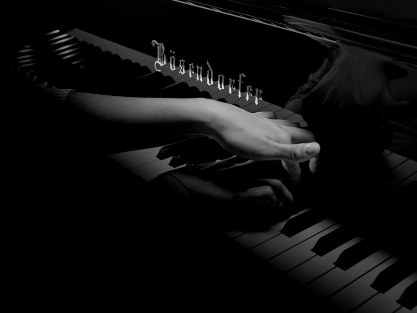 Bösendorfer Grands и UprightsBösendorfer Grands и Uprights  